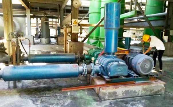 三叶罗茨鼓妖精视屏黄色软件