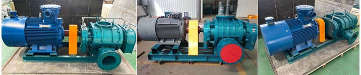 直联传动罗茨妖精视屏黄色软件