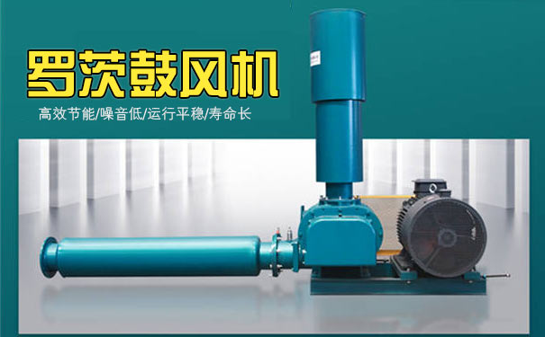 罗茨鼓妖精视屏黄色软件