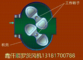 三叶罗茨鼓妖精视屏黄色软件工作原理gif动画