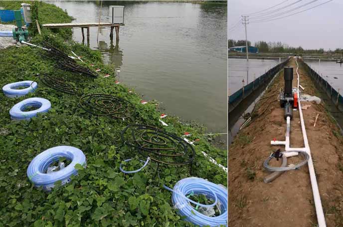 水产养殖供氧曝气罗茨妖精视屏黄色软件