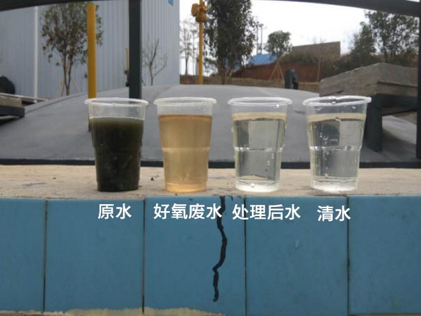 污水曝气罗茨鼓妖精视屏黄色软件应用案例 污水曝气罗茨鼓妖精视屏黄色软件应用案例