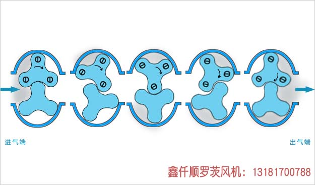 罗茨妖精视屏黄色软件工作原理